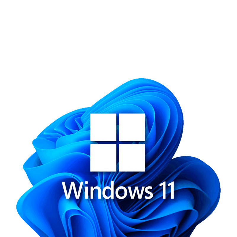 Windows 11 Pro
