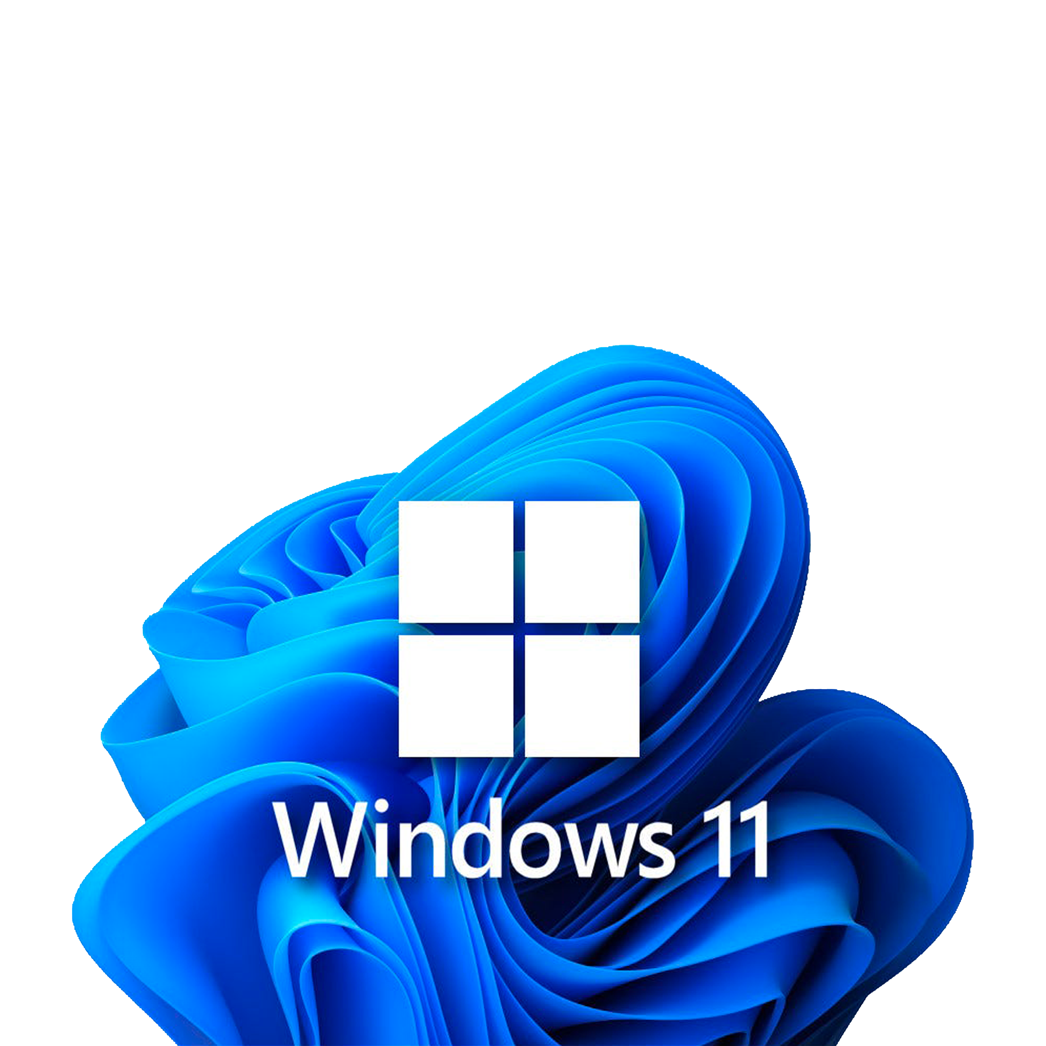 Windows 11 Pro